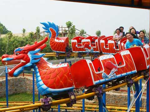 Slide dragon roller coaster ride for sale for backyard use