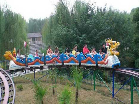 Dragon theme slide roller coaster for sale