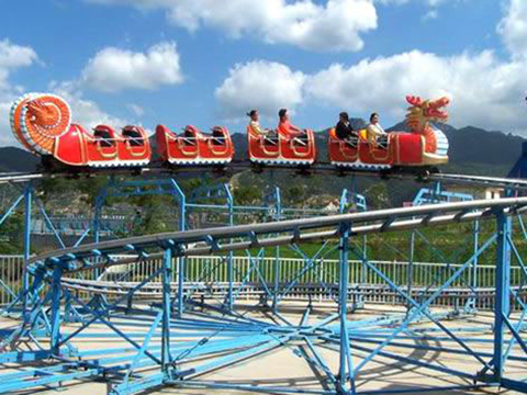 Red slide dragon roller coaster rides for sale